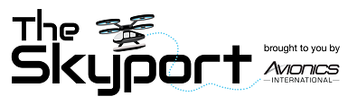 The Skyport newsletter logo